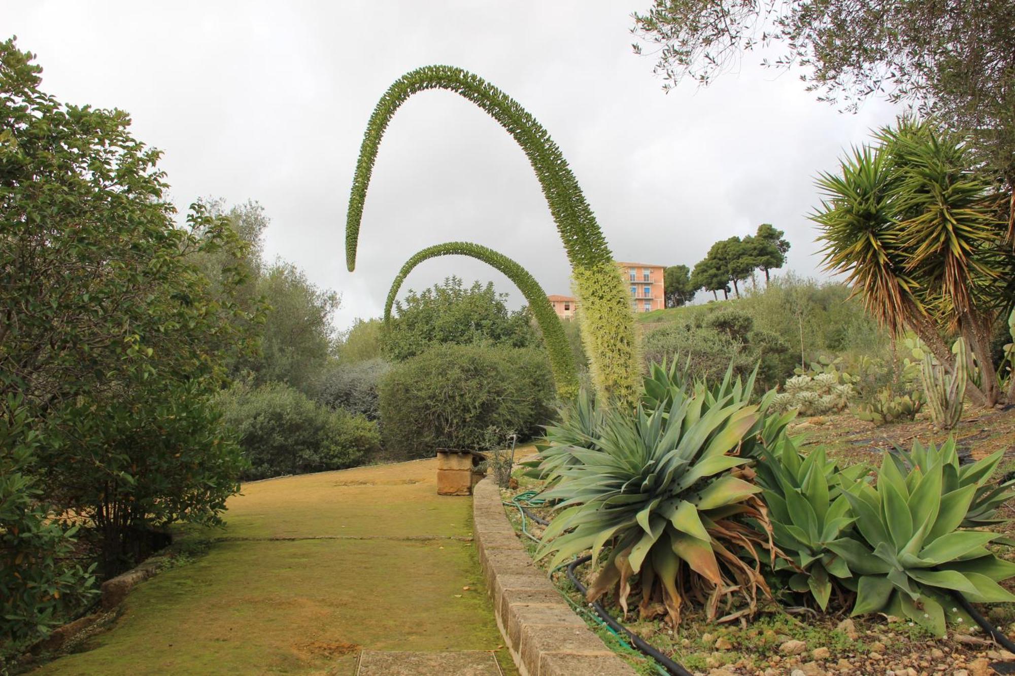 B&B Villa Adriana サン・レオーネ エクステリア 写真